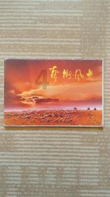 探索当今汽油发动机常用的汽油机型号,发现更多乐趣